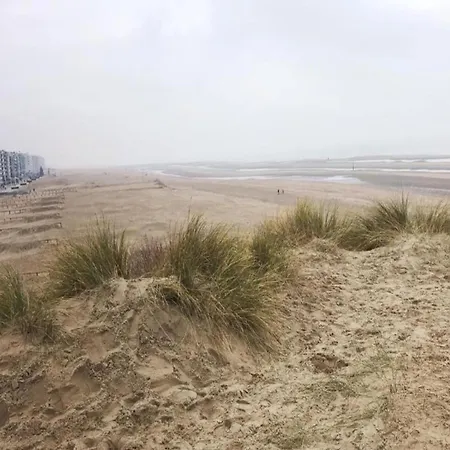 In Near The Sea Appartamento Koksijde