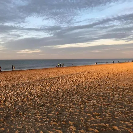 Appartamento In Near The Sea Koksijde