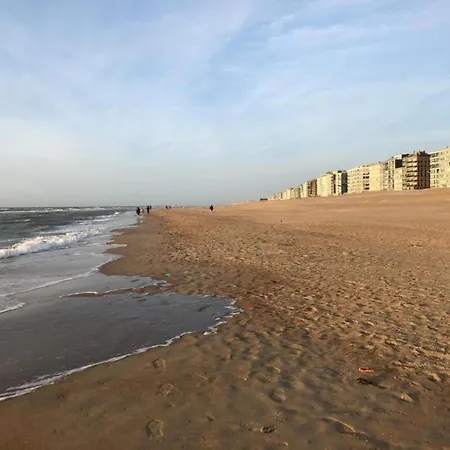 In Near The Sea *